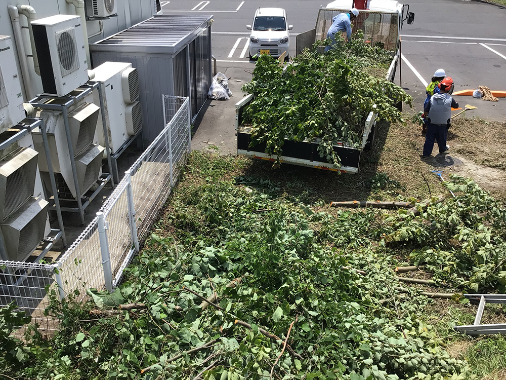 青森県三戸町のコンビニ敷地内草刈り・伐採