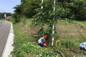 青森県三戸町のコンビニ敷地内草刈り・伐採